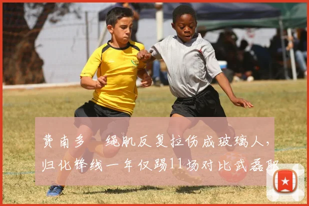 费南多腘绳肌反复拉伤成玻璃人，归化锋线一年仅踢11场对比武磊职业寿命管理差距触目惊心