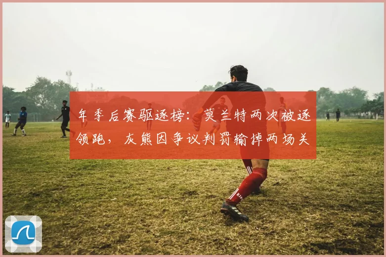 年季后赛驱逐榜：莫兰特两次被逐领跑，灰熊因争议判罚输掉两场关键战